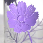 ガラスの空き瓶　コスモス　サンドブラスト　ガラス彫刻