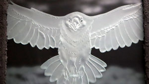 神使飛来　八咫烏