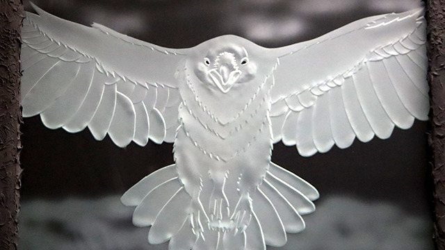 神使飛来　八咫烏